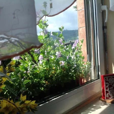 Appartement Ferienwohnung Am Schindelbachtal Oberwiesenthal